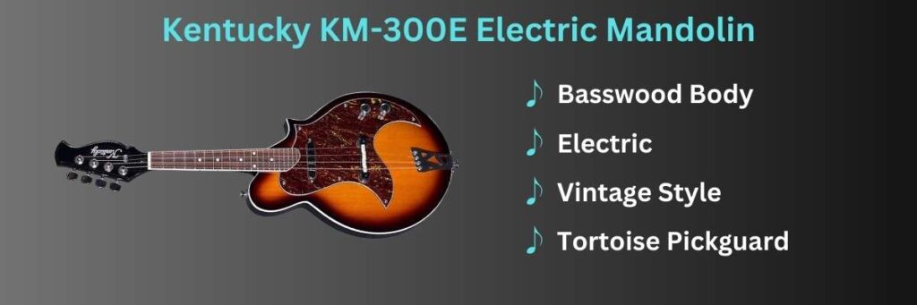 Kentucky KM-300 Mandolin