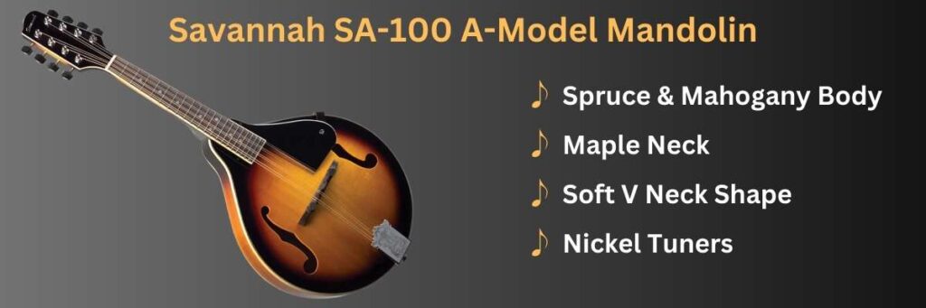 Savannah SA-100 Mandolin