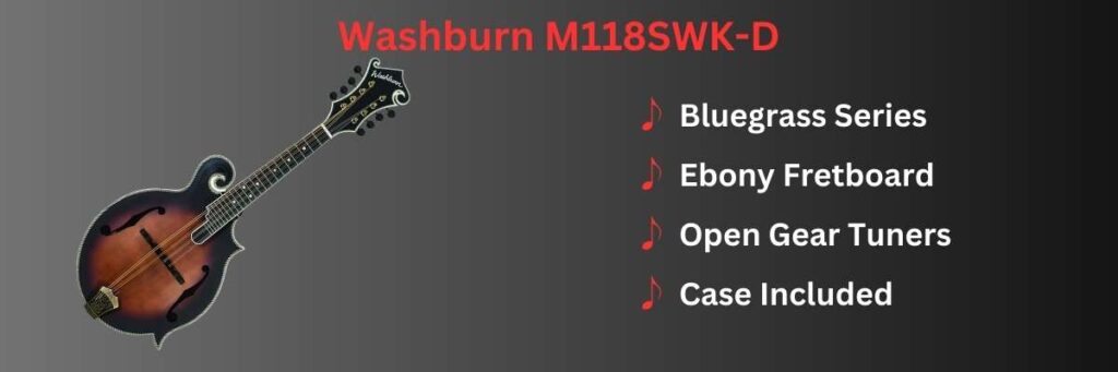 Washburn Mandolin