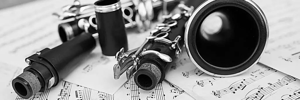 The Ultimate Clarinet Care Guide. This clarinet care guide is designed to provide you with the knowledge and tools necessary to care for your instrument. This guide covers everything from basic maintenance to more advanced repairs, making it an essential resource for musicians of all skill levels.