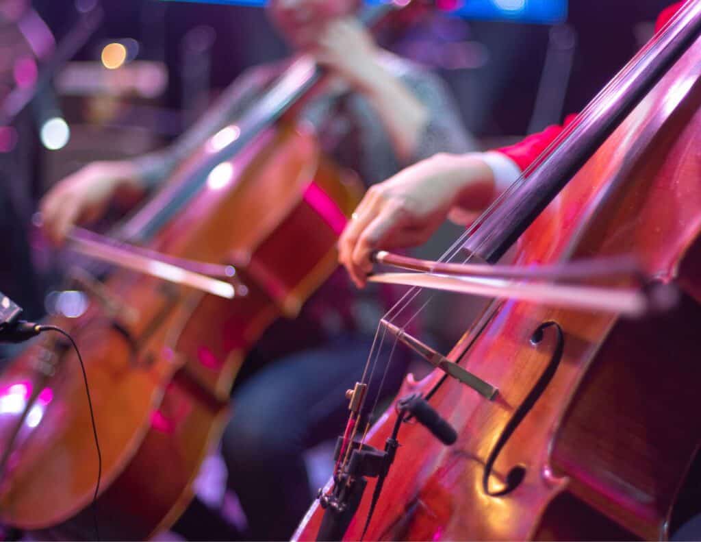 Cello section of an orchestra.